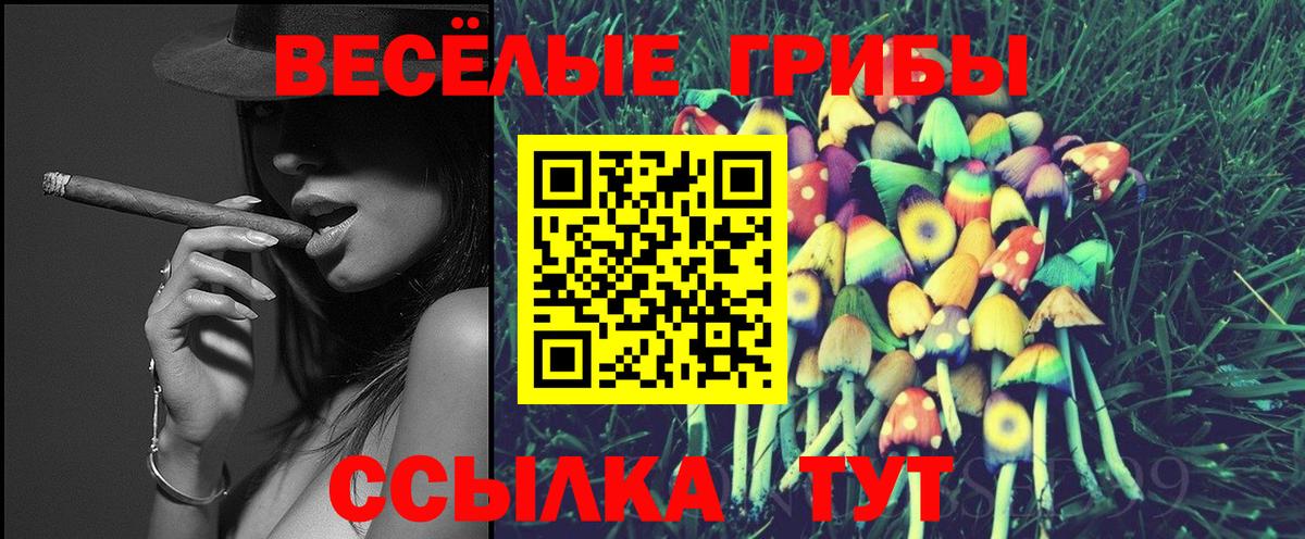 Железноводск  Галлюциногенные грибы мицелий  Вход с VPN 